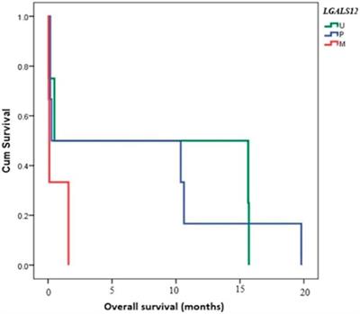 Promoter methylation might shift the balance of Galectin-3 & 12 expression in de novo adult acute myeloid leukemia patients